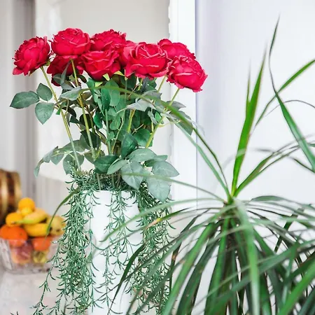 Deluxe New Agneza Near Splitairport