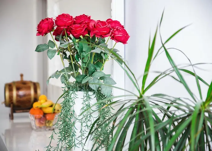 Deluxe New Agneza Near Splitairport